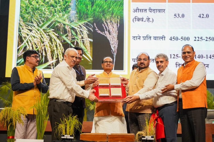 भारत ने विकसित की विश्व की पहली जीनोम संपादित चावल किस्में