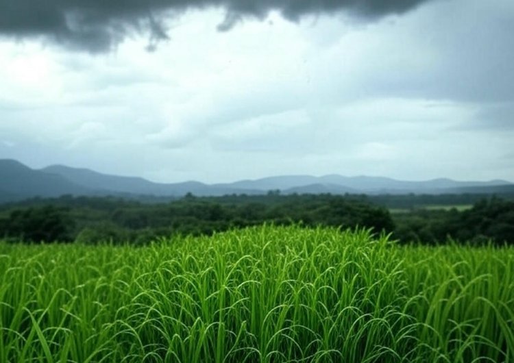 मानसून 2025: समय से पहले दस्तक, सामान्य से अधिक बारिश की उम्मीद