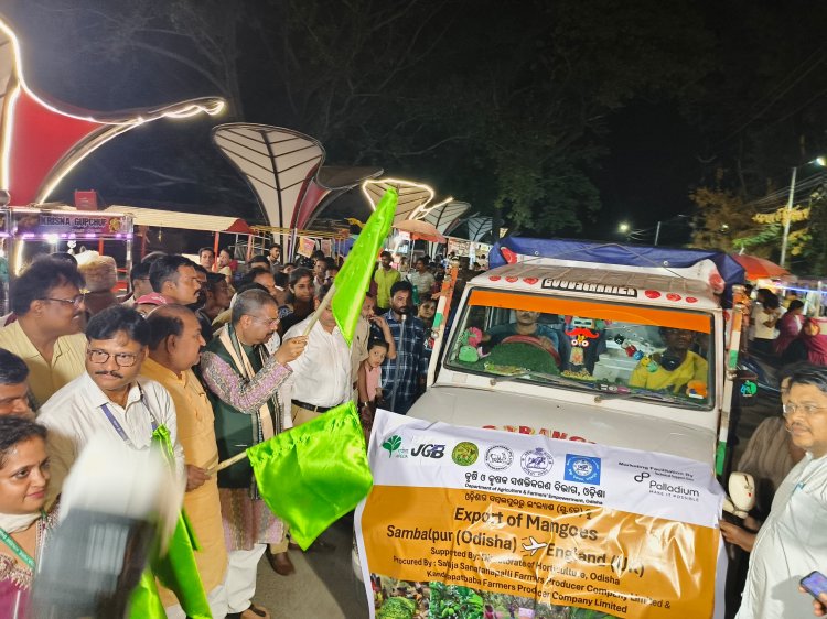 ओडिशा ने रचा इतिहास, इंग्लैंड और दुबई को एक ही दिन में तीन आमों की खेप का निर्यात