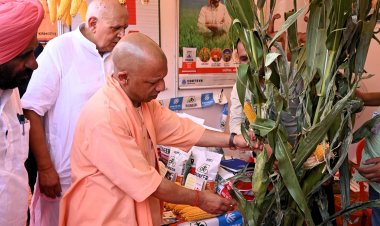 मक्का की खेती को बढ़ावा दे रही यूपी सरकार, बीजों पर 50 फीसदी अनुदान