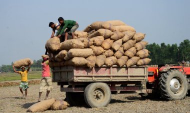 थोक महंगाई 14 माह के निचले स्तर पर, खाद्य वस्तुएं सस्ती होने से किसानों पर मार