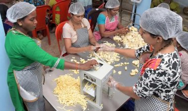 बड़ी संख्या में डिफंक्ट हो रही हैं फार्मर प्रोड्यूसर कंपनियां, एसएफएसी कर रहा है इनकी ग्रेडिंग