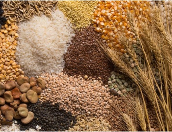 उर्वरकों की बढ़ती कीमतों के कारण 2026-27 में वैश्विक अनाज उत्पादन 2% घटने का अंदेशा