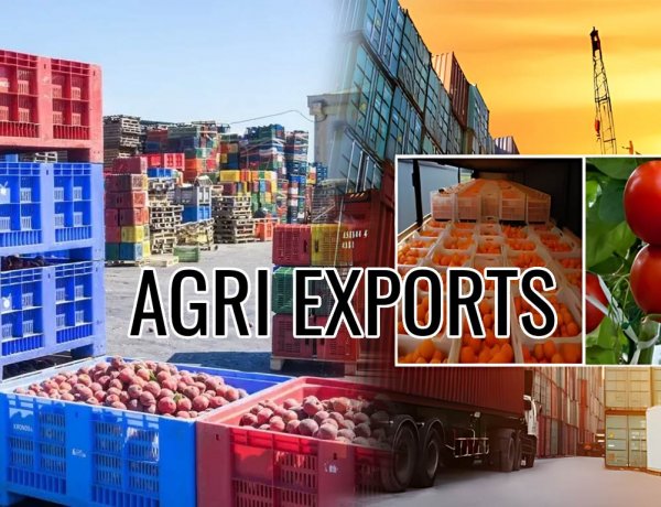 ईरान युद्ध से भारत के 11.8 अरब डॉलर के कृषि निर्यात पर खतरा, जानिए किस राज्य के लिए कितना जोखिम