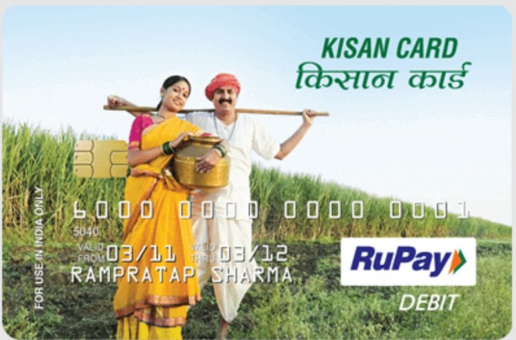 ऑपरेटिव किसान क्रेडिट कार्ड की संख्या 2.7 प्रतिशत घटी, फिर भी KCC पर कर्ज में 4.5 प्रतिशत वृद्धि