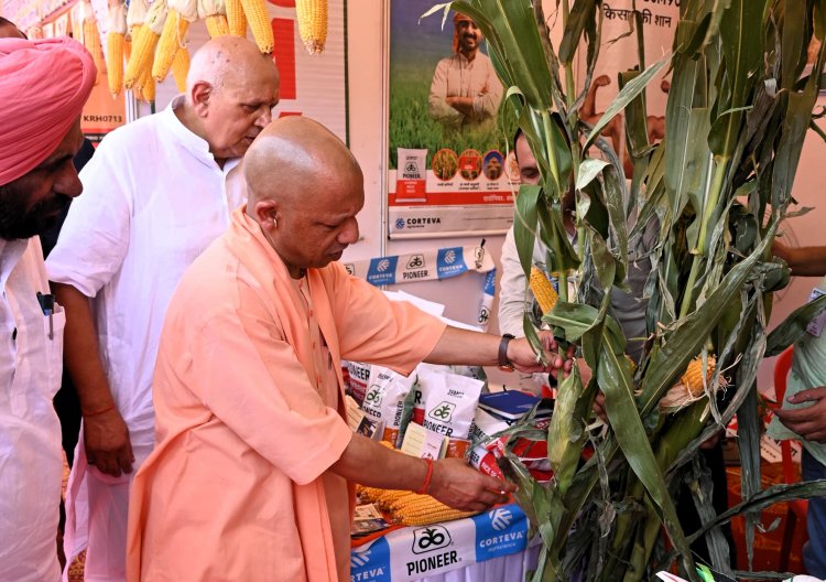 मक्का की खेती को बढ़ावा दे रही यूपी सरकार, बीजों पर 50 फीसदी अनुदान