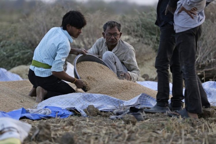 खरीफ सीजन से पहले ग्रामीण महंगाई में गिरावट, नीति निर्धारकों पर कम हो सकता है दबाव