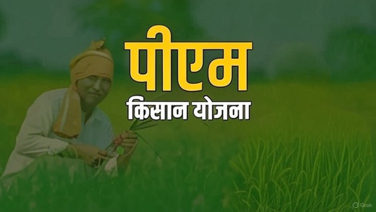 पीएम किसान सम्मान निधि की 20वीं किस्त का इंतजार: क्या है नवीनतम अपडेट?