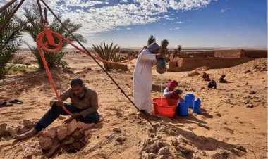 सूखा बना वैश्विक आपदा, खाद्य, जल और ऊर्जा संकट चरम पर: यूएन रिपोर्ट