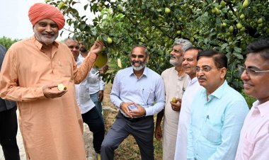 हरियाणा में 1 लाख एकड़ में प्राकृतिक खेती का लक्ष्य, फसल खरीद के लिए गुरुग्राम में मंडी स्थापित