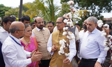 कपास उत्पादन बढ़ाने के लिए “टीम कॉटन” का गठन होगा, 2030 तक कॉटन इंपोर्ट बंद करने का लक्ष्य