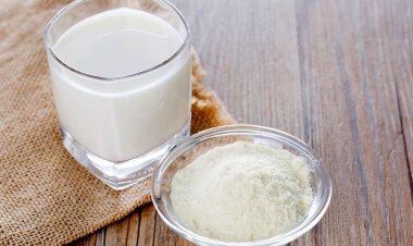 ट्रम्प टैरिफ के बीच मैक्सिको का अमेरिका से दूध पाउडर आयात में कटौती का फैसला, क्या भारत इस कमी को पूरा करेगा?