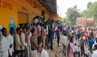 डीएपी संकट की असली वजह: अप्रैल-जून में आयात 12.9% घटा, बिक्री में आई 19.4% की गिरावट