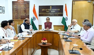 नकली कीटनाशकों पर शिकंजा कसने की तैयारी, कृषि मंत्री ने अधिकारियों को दिए निर्देश