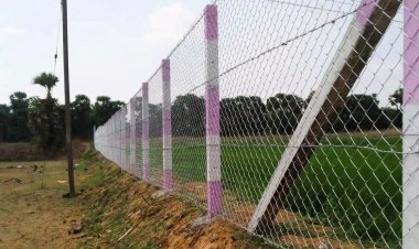 यूपी में बागवानी फसलों की तार फेंसिंग पर मिलेगा 50 फीसदी अनुदान, पंजीकरण शुरू