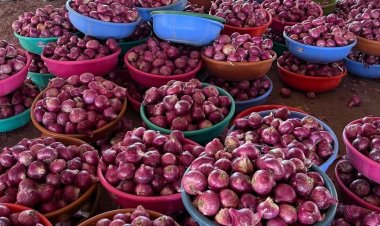 प्याज के दाम गिरने से बढ़ी किसानों की मुश्किलें, एमएसपी और किसानों से सीधे खरीद की मांग