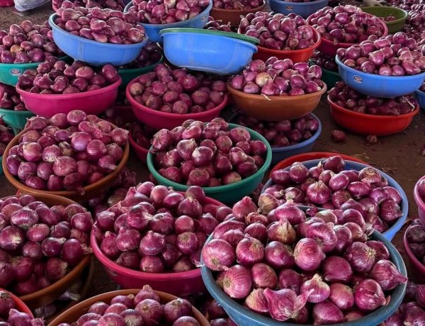 महाराष्ट्र की मंडियों में हफ्ते भर में प्याज 15% महंगा, जून के मुकाबले दाम दोगुने से भी ज्यादा हुए, निर्यात में भी तेजी