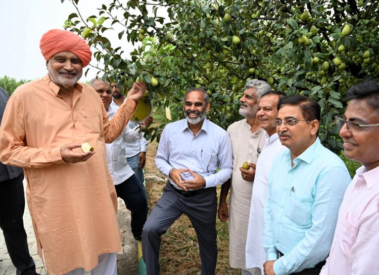 हरियाणा में 1 लाख एकड़ में प्राकृतिक खेती का लक्ष्य, फसल खरीद के लिए गुरुग्राम में मंडी स्थापित