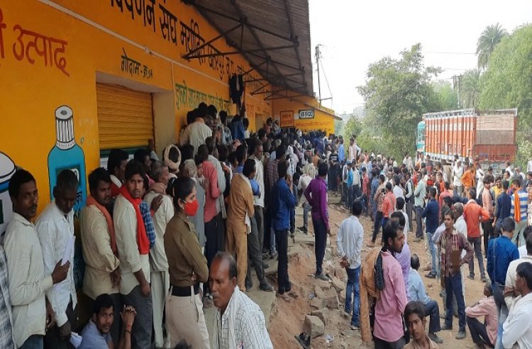 डीएपी संकट की असली वजह: अप्रैल-जून में आयात 12.9% घटा, बिक्री में आई 19.4% की गिरावट