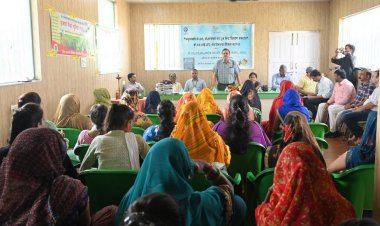 ग्वालियर में मधु क्रांति: कैसे मधुमक्खी पालन से मोरार ब्लॉक की महिलाएं सशक्त हो रही हैं