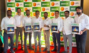 यूपीएल ने मक्का खरपतवार नाशक ब्रूसिया लॉन्च किया, फिलहाल दक्षिणी राज्यों में उपलब्ध