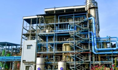 Godavari Biorefineries: बायो केमिकल सेगमेंट का मजबूत प्रदर्शन, रेवेन्यू में वृद्धि लेकिन मुनाफा घटा