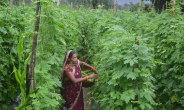 आज़ादी की नई परिभाषा: जब गाँव की बेटियाँ अपने सपनों को पंख देती हैं