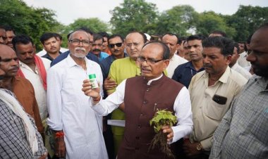 खराब हर्बिसाइड बेचने वाली एचपीएम कंपनी का लाइसेंस निलंबित, तीन जिलों में एफआईआर दर्ज