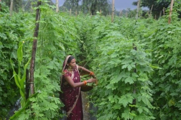 आज़ादी की नई परिभाषा: जब गाँव की बेटियाँ अपने सपनों को पंख देती हैं