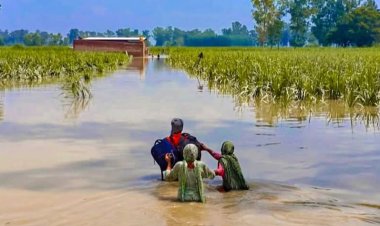 पंजाब में भीषण बाढ़ के पीछे जलवायु परिवर्तन और पश्चिमी विक्षोभ प्रमुख कारण