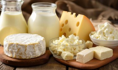 डेयरी उत्पादों पर जीएसटी में कटौती से होगी सालाना 11,400 करोड़ रुपये की बचत