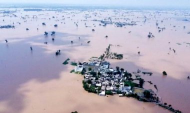 खरीफ बुवाई पिछले साल से 2.5% अधिक, लेकिन बाढ़ से लाखों हेक्टेयर में फसलें बर्बाद