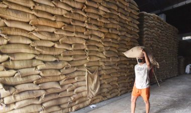 सरकारी गोदामों में चावल का रिकॉर्ड भंडार, गेहूं चार साल के उच्च स्तर पर