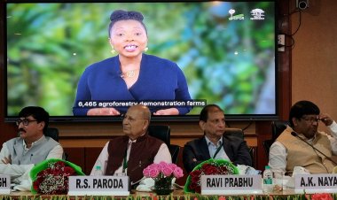 एग्रोफॉरेस्ट्री में किसानों की भूमिका जलवायु और अर्थव्यवस्था के लिए महत्वपूर्ण, विशेषज्ञों ने किया प्रयास बढ़ाने का आह्वान