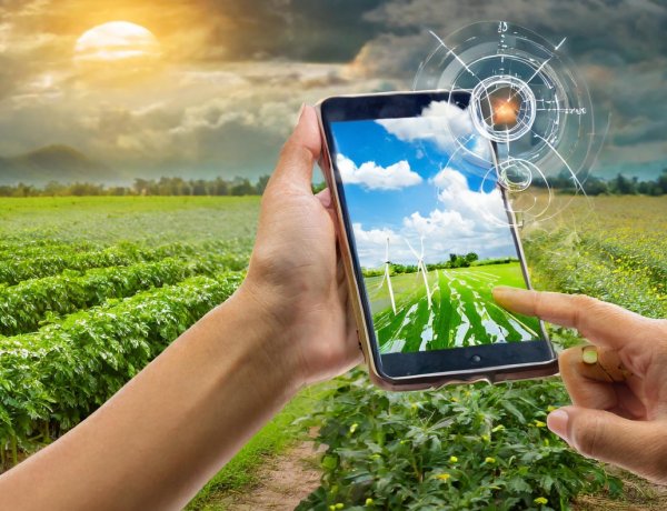 Budget 2026: एग्री-फाइनेंस, खाद्य सुरक्षा और ग्रामीण क्षेत्र की मजबूती पर विशेष जोर देने का सुझाव