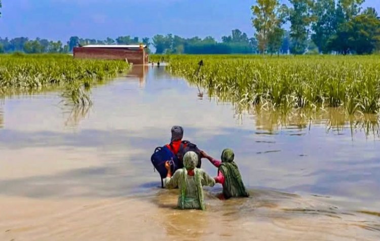 पंजाब में भीषण बाढ़ के पीछे जलवायु परिवर्तन और पश्चिमी विक्षोभ प्रमुख कारण