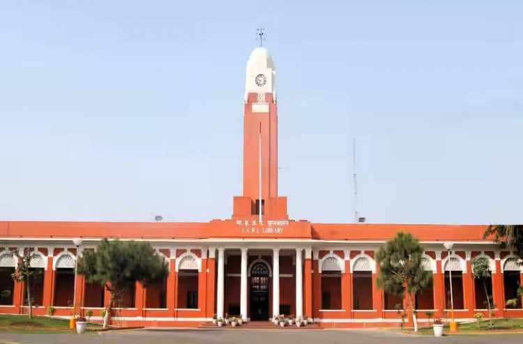 आईएआरआई फिर बना देश का नंबर वन कृषि संस्थान, टॉप 20 में एमिटी और लवली यूनिवर्सिटी भी शामिल