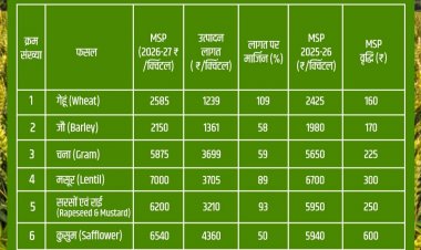 रबी फसलों के एमएसपी घोषित, गेहूं पर 160 और सरसों पर 250 रुपये बढ़ाये