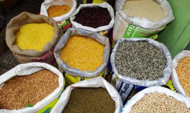 ‘दलहन आत्मनिर्भरता मिशन’ को मंजूरी, 6 साल के लिए 11,440 करोड़ का बजट