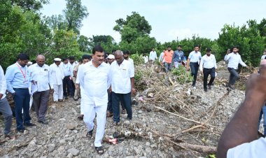 महाराष्ट्र में लाखों एकड़ फसलों को नुकसान, 33 जिले प्रभावित, किसानों को मदद का इंतजार
