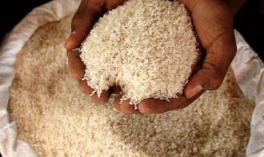 भारत के गैर-बासमती चावल निर्यात को म्यांमार और पाकिस्तान ने किया मुश्किल