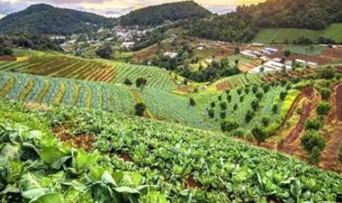 सिविल सोसायटी की अंतरराष्ट्रीय पौध संधि को खारिज करने की अपील, कहा- इससे भारत की जैव-संपदा को खतरा