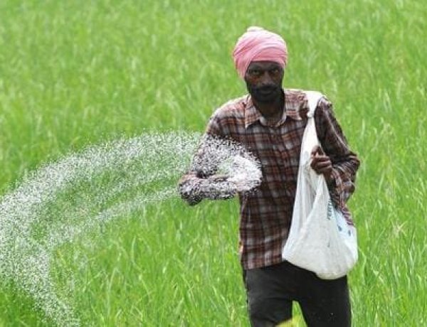 यूरिया की बढ़ सकती है किल्लत, इस साल खपत 400 लाख टन पार पहुंचने की संभावना