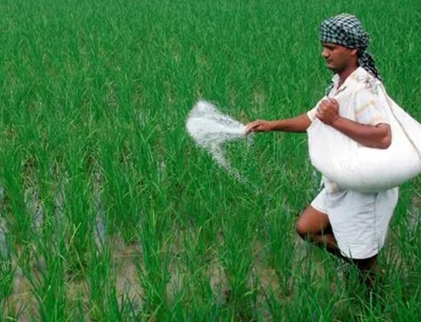 उत्तर प्रदेश में गैर-सब्सिडी उर्वरकों की बिक्री पर प्रतिबंध, बढ़ी उद्योग की मुश्किलें