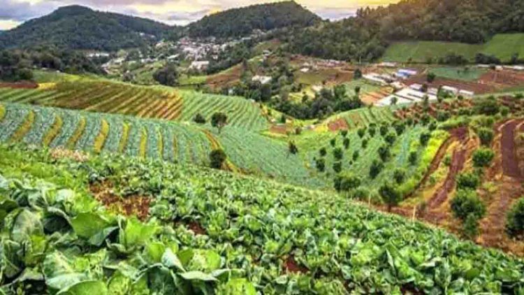 सिविल सोसायटी की अंतरराष्ट्रीय पौध संधि को खारिज करने की अपील, कहा- इससे भारत की जैव-संपदा को खतरा