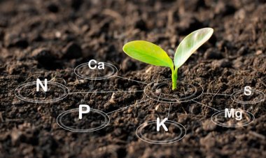 सैटेलाइट के माध्यम से मिट्टी में नाइट्रोजन का पता लगाने की विधि के लिए बेंगलुरु की कंपनी सत्युक्त को मिला पेटेंट