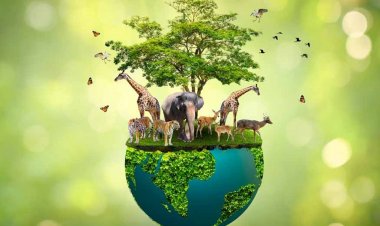 संयुक्त राष्ट्र ने जैव विविधता प्रबंधन में स्थानीय समुदायों की भूमिका को दी मान्यता