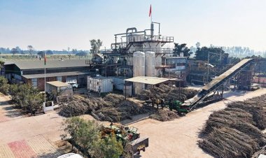 खांडसारी चीनी इकाइयों पर कोटा सिस्टम लागू नहीं, लेकिन पंजीकरण कराना होगा