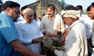 गुजरात सरकार ने बारिश से प्रभावित किसानों के लिए 10,000 करोड़ के राहत पैकेज का ऐलान किया