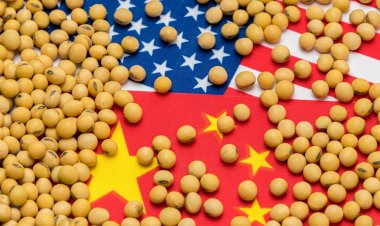 बांग्लादेश अगले साल अमेरिका से 1.25 अरब डॉलर सोयाबीन का करेगा आयात